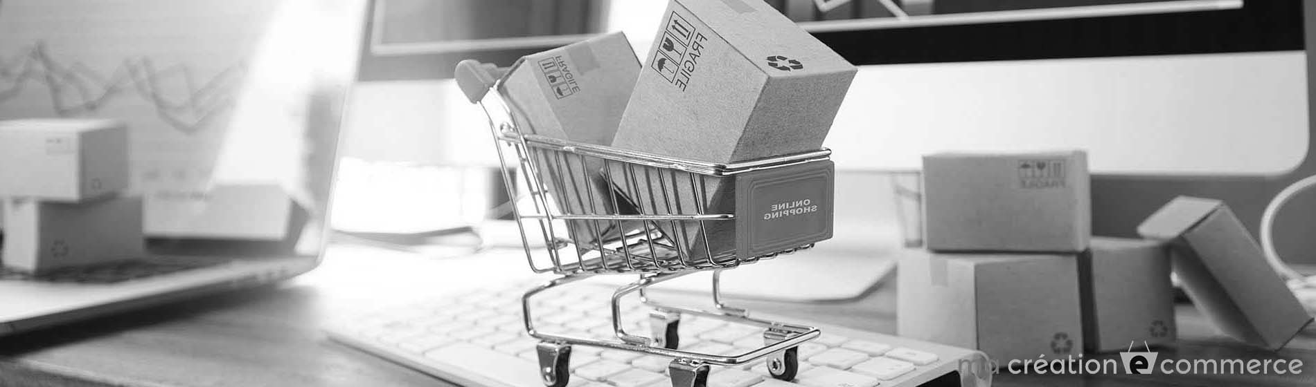 référencement site e commerce wooCommerce 69D Rhône