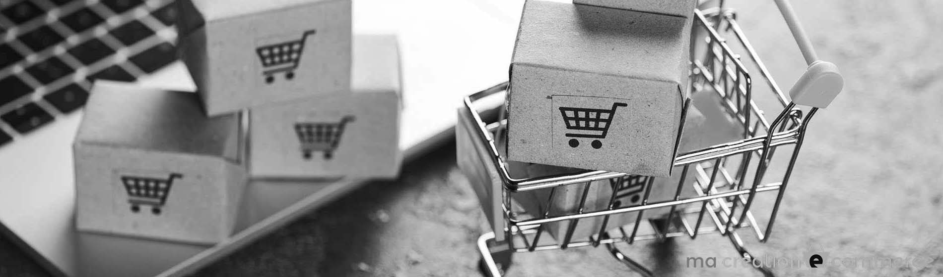 référencement site e commerce pas cher 42 Loire