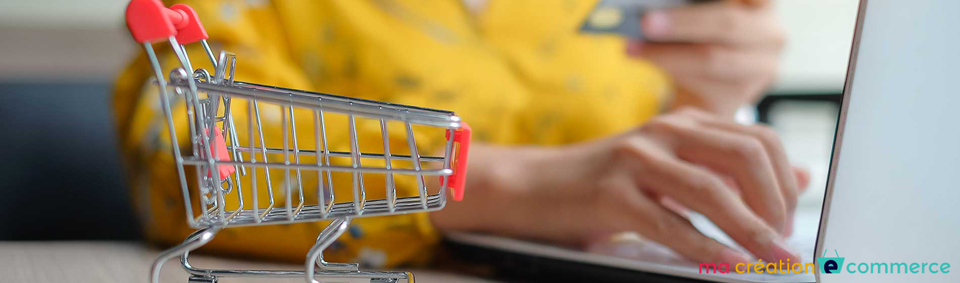 Site E Commerce Pas Cher Lille (59000)