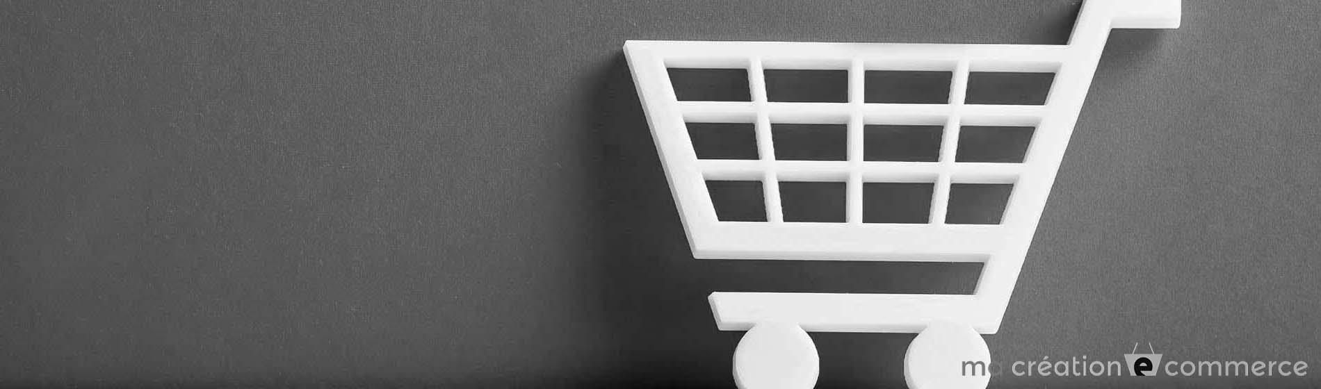 référencement site e-commerce 42 Loire