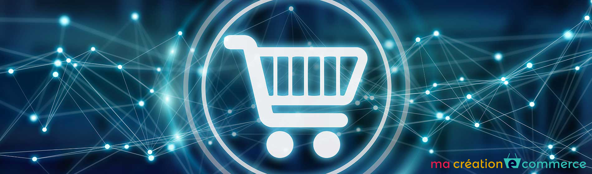 site internet e-commerce pas cher Lille (59000)