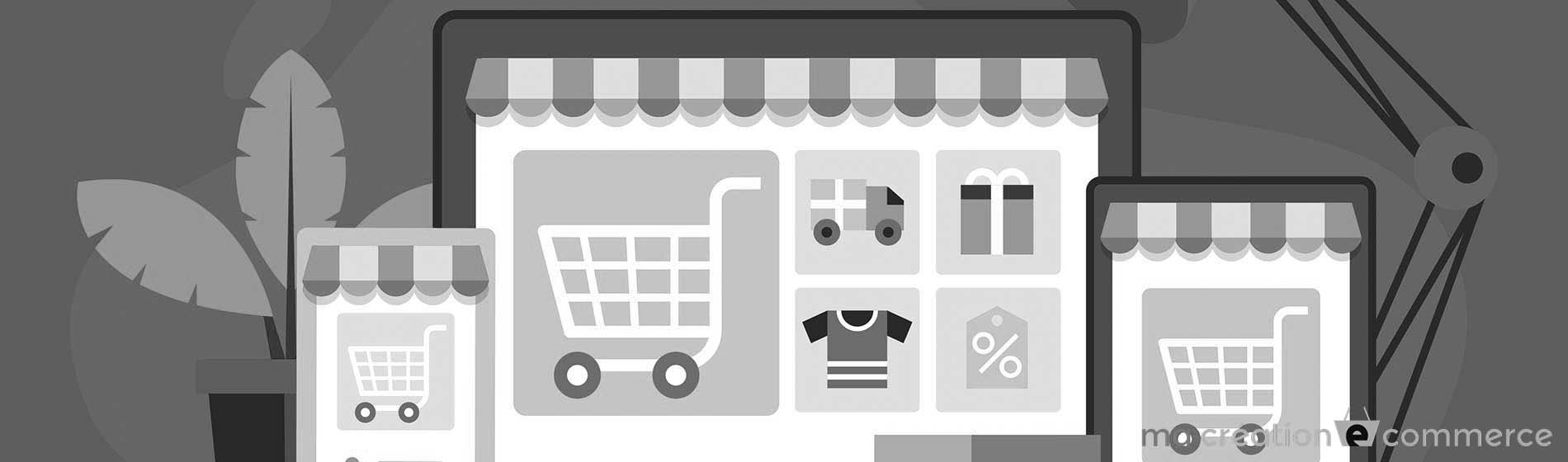 site e-commerce wooCommerce Perpignan (66000)