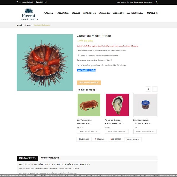 Marc Expert en creation site e-commerce