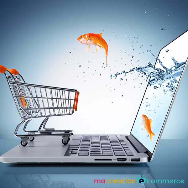 Site e commerce prestashop