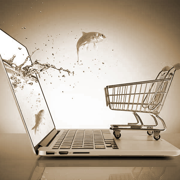 Creation site e commerce clé en main