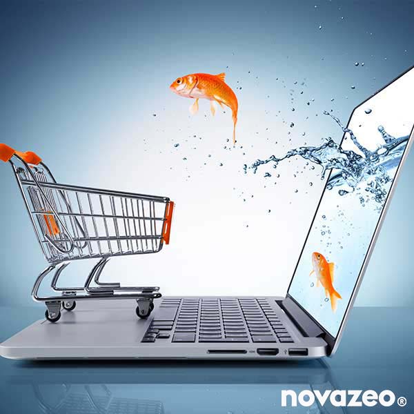 Référencement site e commerce clé en main