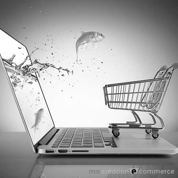 Créer site e commerce pas cher