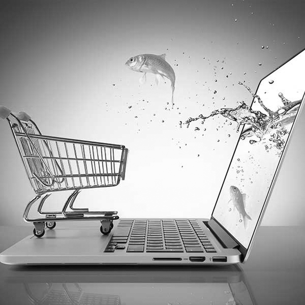 Creation site e commerce