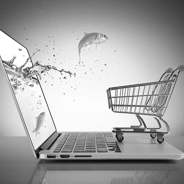 Creation site e commerce clé en main