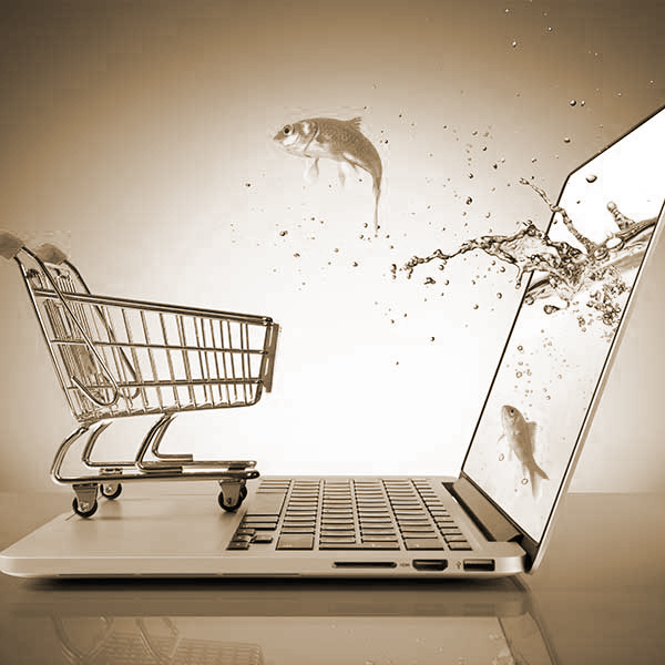 Site e commerce clé en main