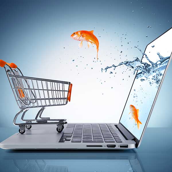 Créer site e commerce