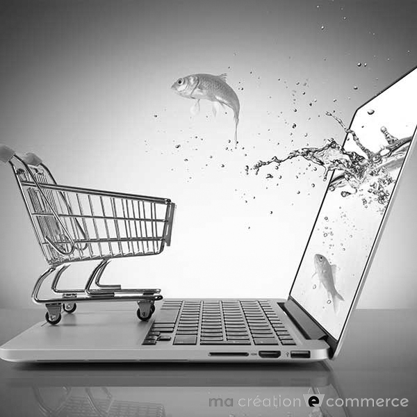 Créer site e commerce clé en main